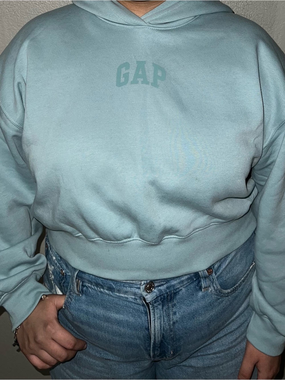 GAP VintageSoft Crop Logo Hoodie